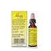 RESCURA PLUS Bachblüten Mentale Balance, 10 ml I Bachblütenmischung mit Vitaminen für mehr Balance I ehemals Rescue das Original