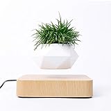 GYJ Flor de suspensión de levitación magnética y Maceta de Bonsai de Aire, Maceta Flotante Creativa de levitación Planta en Maceta decoración de Escritorio para el hogar, macetas de jardín en