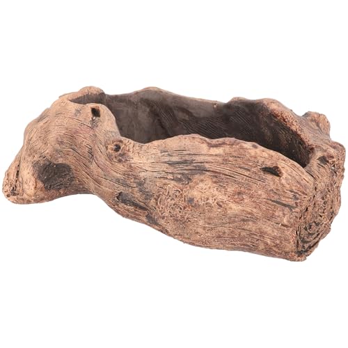 NUOBESTY Maceta para Suculentas de Cemento Diseño de Raíz para Decoración de Interior y Escritorio en Hogar y Oficina