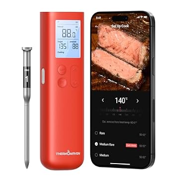 best bluetooth wireless meat thermometer