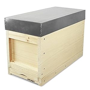APIFORMES Zander Ablegerkasten 5 Waben