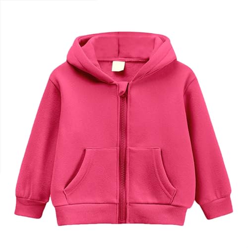 Image of Jumper Kids Sweatshirt Autumn and Winter Baby Boy Zip Up Hoodies Solid Color Hooded Sweatshirt Long Sleeve Jacket Casual Outerwear Fall Clothes (2-3 Years) Hot Pink