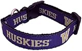 Collegiate Dog Collar (Medium, Washington Huskies)
