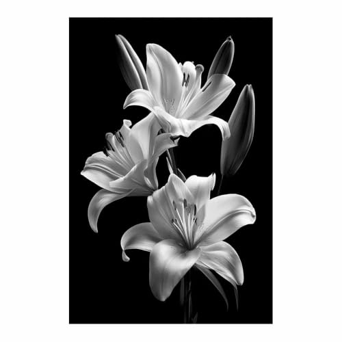 Toile decoration murale lys pour habiller un grand mur vide poster noir et blanc 80x120cm