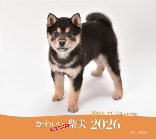 2026年カレンダー かわいい柴犬 (誠文堂新光社カレンダー)