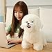 LEIhhdy 28cm 1pc Giocattoli di Peluche Bambole di Cane Animale Sveglio Farcito Morbido Bichon per I Bambini Decorazione della Casa del Bambino Regali di Natale di Compleanno per Bambini-38x28x16CM