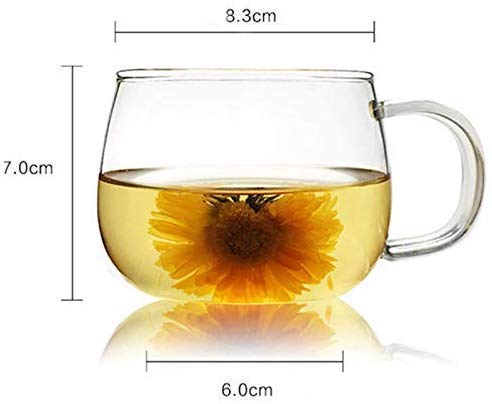 Image of KiKiluxxa 400ml Borosilicate Glass Mug for Tea & Coffee, Pack of 1