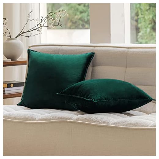 JIAHANNHA Velvet Emerald Green Throw Pillow Covers 18x18 Inches Pack of 2 Soft Decorative Square Cushion Covers for Couch Sofa Bed Livingroom Car,45x45Cm,Deep Dark Green