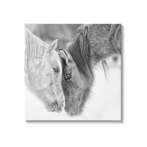 Stupell Industries 'Horse Hug Photography'| Canvas Art by Stupell Industries - Used condition - US$23.45