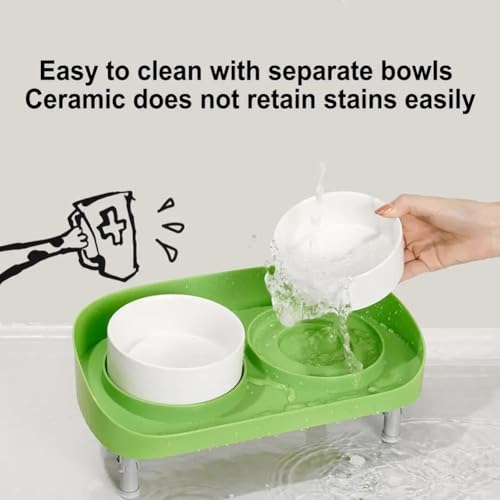 Gamelle surélevée inclinée pour chat ergonomique design vert - 8