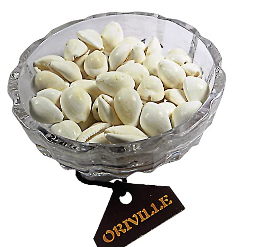 ORIVILLE White Cowdi/Kauri/Kowri/Kaudi/Cowrie Shells Energised with Mantras (51 Pieces for Pooja/Puja) - Image 5 thumbnail