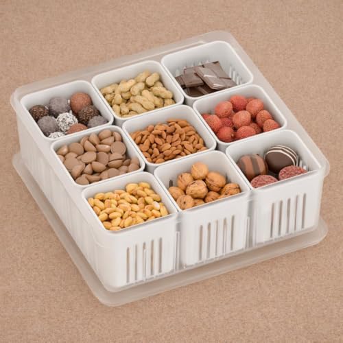 Image of TASMAX Fridge Storage Boxes, Plastic Fridge Containers, Fridge Accessories Items, (FRIDGE CONTAINER LARGE BOX-9 GRID)
