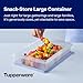Tupperware Snack-Store Large Container, Dishwasher Safe and BPA Free Container (3.5 L / 14.7 Cups)