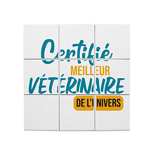 Carreaux céramique décoratif mural veto animaux docteur de l'univers format 45x45 cm
