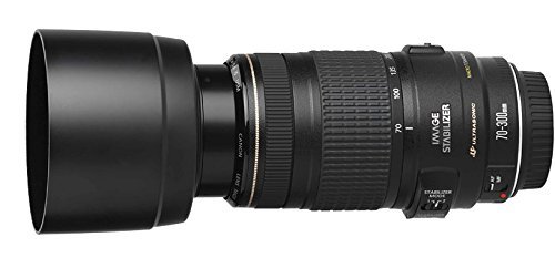 Canon ET-65B Paraluce Originale Per Obiettivi EF 70-300mm F/4-5.6 IS USM E DO IS USM
