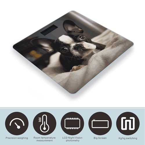 Báscula digital para baño con diseño Boston Terrier miniatura 3