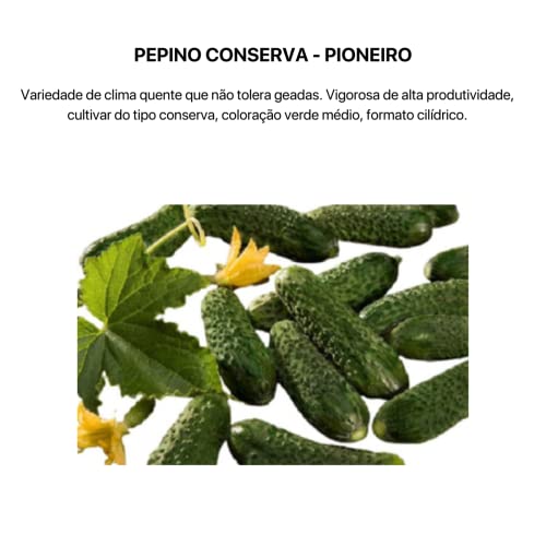 Kit 4 Sementes Legumes Horta Em Casa Jardins Vasos (Tomate, Pepino,Feijão e Pepino conserva)