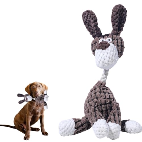 Lifetips `FTs[NExCEgo[ pʂ  XNC[J[ JVJV {AR[fC y v @OK ^ q VjA XgX p pʂ  XNC[J[ @Ő􂦂