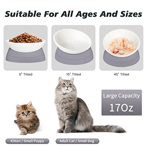 Hi, Ravitat Cat Bowls Elevated Cat Food Bowl Adjustable Cat Dish Anti-Slip And Anti-Noise Raised Cat Bowl Protecting Pet’s Spine Thickened Plastic Bowl Suitable For Indoor Cats, 17 Oz #TOP2