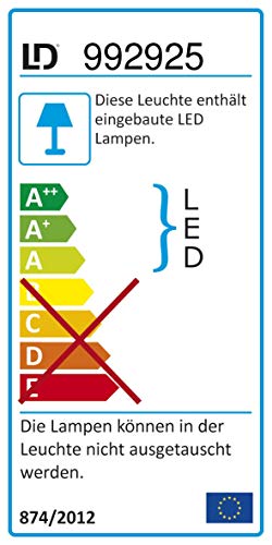 Paul Neuhaus 11292-17 - Plafoniera a LED con 2