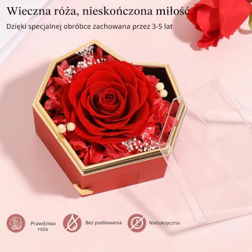 Emibele Preserved Real Red Rose Heart Box with Heart Necklace