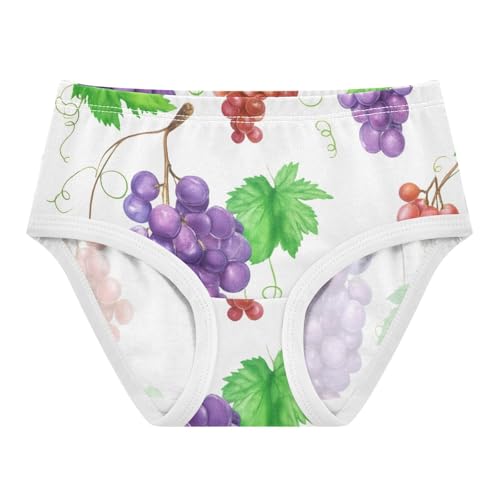 Funny Girls Underwear Toddler 2t Cotton Girl Panties Cute Purple Red Grapes Green Leaves Briefs Girls Undies - Main Image