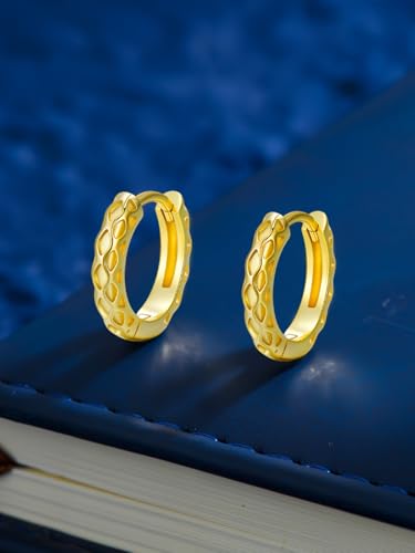 14K Gold Hoop Earrings for Women Hypoallergenic Lightweight Gold Huggie Hoop Earring Jewelry Gift3