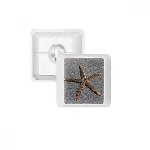 Keycaps PBT science nature R4 pour clavier mécanique sans marquage