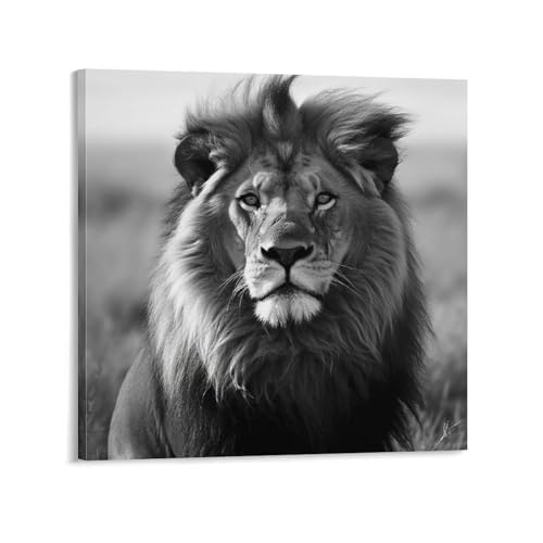 Toile lion africain noir et blanc AQRJLPM 50x50 cm pour salon