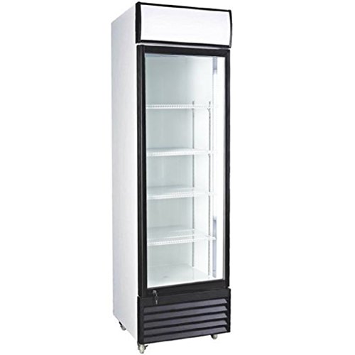 Best Commercial Refrigerator Brands For Restaurants in USA Bestie Talks