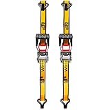 Cat 2 Piece Ratchet Tie Down Set with Soft Hooks – 10 Ft x 1 in Straps, 1000 lbs Working Load, 3000 lbs Break Strength, Non-Slip Handle, Double J-Hooks – Heavy Duty Cargo Straps for Truck, RV, Moving