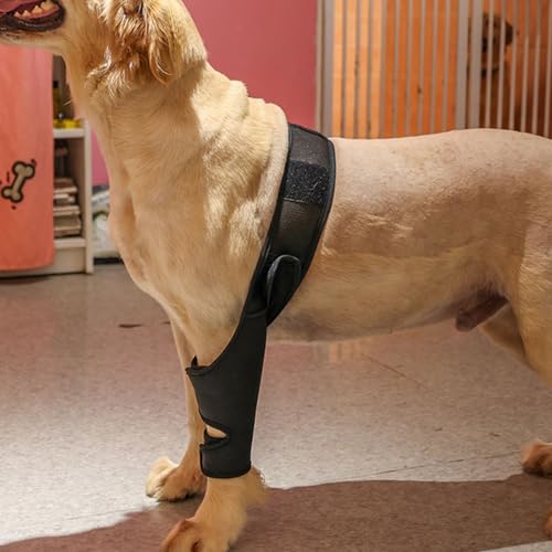 Zerodis Hunde-Kniebandage für Gerissenes ACL-Hinterbein, Kreuzbandverletzungen, Patellaluxation oder Arthrose, Hunde-ACL-Kniebandage, Hundebandage für das Hinterbein Zur Unterstützung (M)