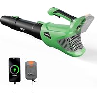 Workprox 20V Electric Cordless Leaf Blower w/ Battery & Charger