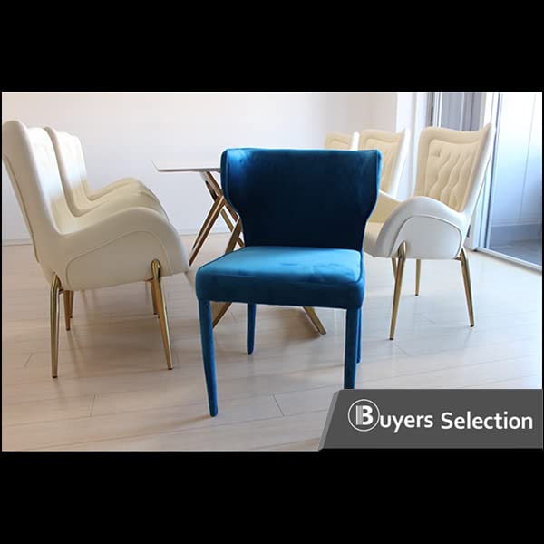Amazon｜ダイニングチェア （限定カラー） Buyers Selection ホテル