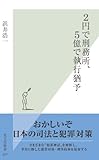 ２円で刑務所、５億で執行猶予 (光文社新書)