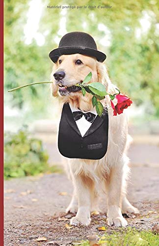 MON CARNET de Contacts: Carnet spécial adresse &amp; téléphone | A compléter | Répertoire téléphonique (par ordre alphabétique) | Fiches de contacts à ... pages | idée cadeau original et pratique |