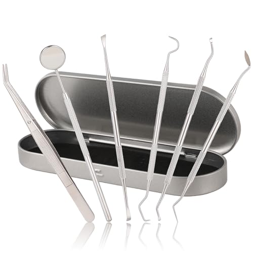 Simpeak 6-PCS Dental Cleaning Tools Kit, Plaque Remover for Teeth, Dental Filling Repair Kit, Stainless Steel Dental Tools for Adults and Pets