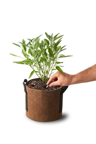Bokashi em Cápsulas | Yes We Grow