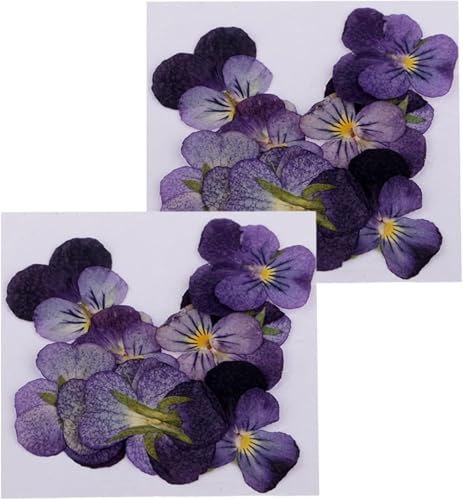 24 piezas de flores violetas secas naturales para manualidades miniatura 2