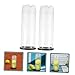 BESPORTBLE 6pcs Tennis Storage Container Transparent Design Wear-Resistant Holder Lid Lightweight and Portable for and Storage