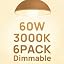 3000k Warm White-60w 6pcs