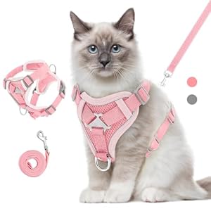Cat Harness and Leash Set for Walking, Escape Proof Kitten Vest Harness with Reflective Strip Breathable Mesh, Adjustable Soft Pet Safety Vest for Cats, Kittens, Puppies, M, Pink