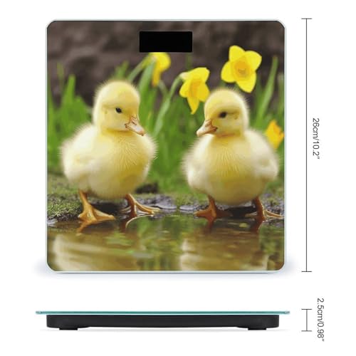 Báscula Digital Cute Ducks para Baño 400 lb miniatura 2