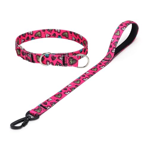 haoyueer Dog Collar and Leash Set, Slip Collar with Stop Ring, No Pull Martingale Collar for Dogs, for Small, Medium, Large Dogs (NO4, L)