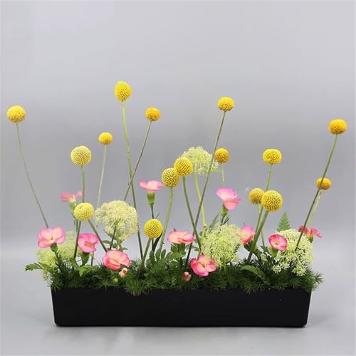 Plateau en polypropylène pour plantes robuste et durable pour aménagement - 6