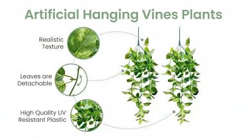 Image of Dekorly 2 Pack Artificial Plants Artificial Hanging Plants Faux Eucalyptus Leaf Greenery Fake Hanging Eucalyptus Plant (Green) (2, Green Money Plant Vines)