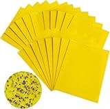 yotutun Gelbsticker, 50 Stück Gelbtafeln Trauermücken Bekämpfen Gelbsticker Fliegenfalle Gegen Trauermücken Nematoden Blattläuse Minierfliegen Weiße Fliegen Kirschfruchtfliege, 20x15cm
