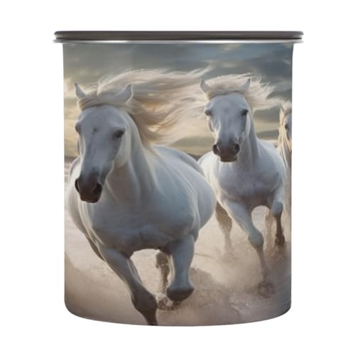 Contenedor de café hermético Blueangle acero inoxidable 30oz