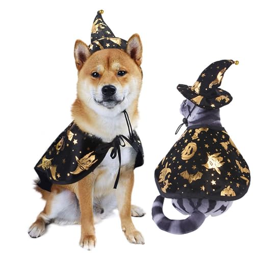 Costume d'halloween animal de compagnie : créez des souvenirs avec la cape de sorcier