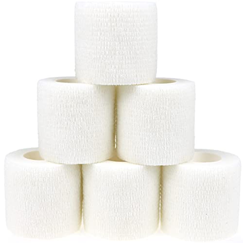 KEQCQE Lk e͕єSуe[sO oe[W ybg  LhsDz ֐߃T|[g Lk ʋC 6